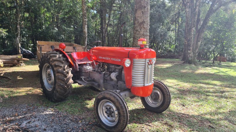 Trator Massey Ferguson vermelho estacionado sob as árvores